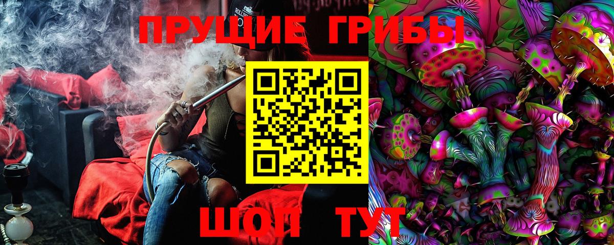 Псилоцибиновые грибы Cubensis Павлово